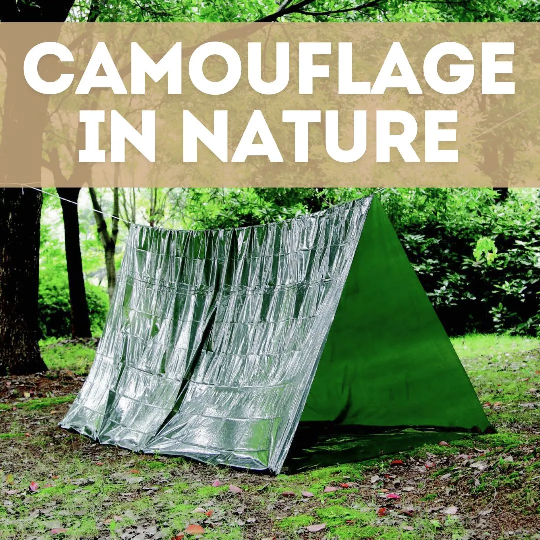 2 Person Green Emergency Tube Tent