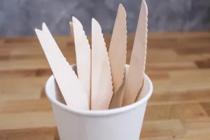 Disposable Wooden Knife (1000pcs) | Compostable | Natural Birchwood