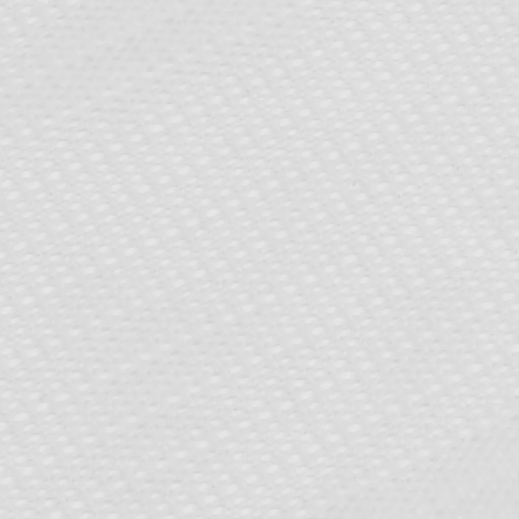 vidaXL Tent Carpet 200x500 cm White